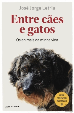 Bertrand.pt - Entre Cães e Gatos