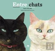 Entre Chats