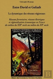 Entre David Et Goliath ; La Dynamique Des Réseaux Régionaux ; Réseaux Ferroviaires, Réseaux Électrique