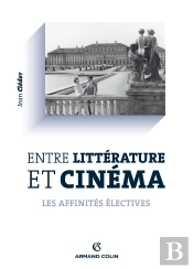 Entre Littérature Et Cinéma ; Les Affinités Électives