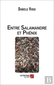Entre Salamandre Et Phénix