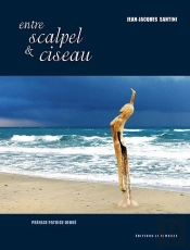 Entre Scalpel Et Ciseau