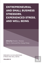 Entrepreneurial And Small Business Stressors, Experienced Stress, And Well Being