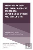 Entrepreneurial And Small Business Stressors, Experienced Stress, And Well Being
