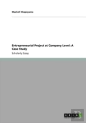 Entrepreneurial Project At Company Level