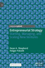 Entrepreneurial Strategy