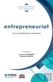 Entrepreneuriat : Outils Théoriques Et Pratiques