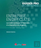 Entreprise En Difficulté : Les Outils Juridiques Et Financiers À La Disposition Du Dirigeant