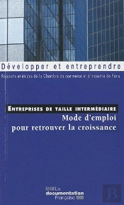Entreprises De Taille Intermédiaire ; Mode D'Emploi Pour Retrouver La Croissance