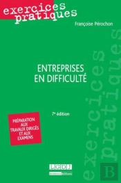 Entreprises En Difficulte,7eme Edition