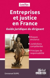 Entreprises Et Justice En France : Guide Du Dirigeant Averti