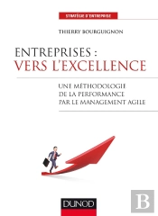 Entreprises : Vers L'Excellence ; Une Méthodologie De La Performance Par Le Management Agile