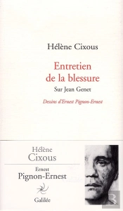 Entretien De La Blessure, Sur Jean Genet