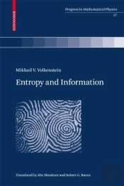Entropy And Information