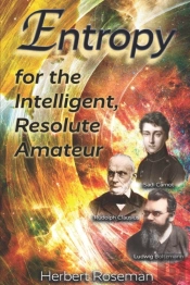 Entropy For The Intelligent, Resolute Amateur