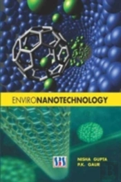 Environanotechnology