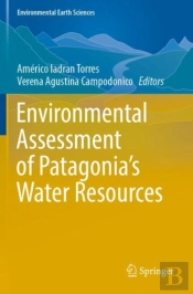 Environmental Assessment Of Patagonia'S Water Resources