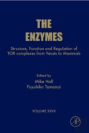 Enzymes