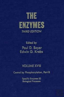 Bertrand.pt - Enzymes