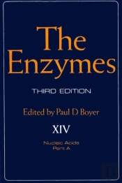 Enzymes