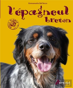 Bertrand.pt - Epagneul Breton (L )