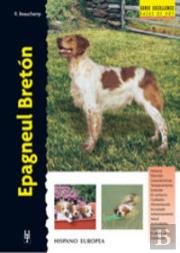 Epagneul Bretón
