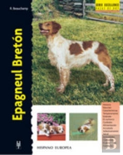 Epagneul Bretón