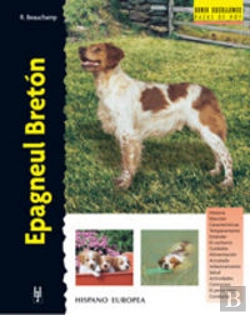 Bertrand.pt - Epagneul Bretón