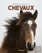 Éperdument Chevaux
