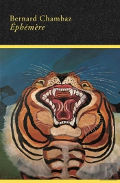 Éphémère