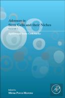 Epidermal Stem Cell Niche