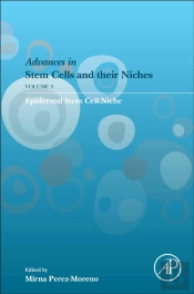 Epidermal Stem Cell Niche