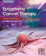 Epigenetic Cancer Therapy