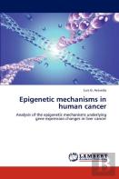 Epigenetic Mechanisms In Human Cancer