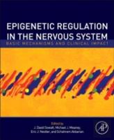Epigenetic Regulation In The Nervous System