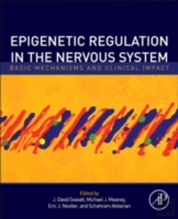 Bertrand.pt - Epigenetic Regulation In The Nervous System