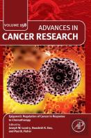 Epigenetic Regulation Of Cancer In Response To Chemotherapy