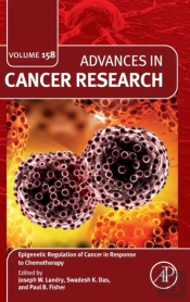 Epigenetic Regulation Of Cancer In Response To Chemotherapy