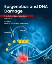 Epigenetics And Dna Damage