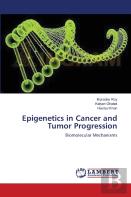 Epigenetics In Cancer And Tumor Progression