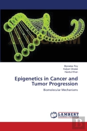 Epigenetics In Cancer And Tumor Progression
