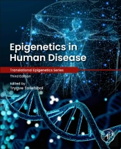 Epigenetics In Human Disease