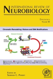 Epigenetics