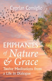 Epiphanies Of Nature And Grace: Twelve Meditations From A Life In Dialogue