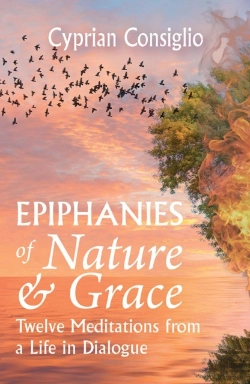 Bertrand.pt - Epiphanies Of Nature And Grace: Twelve Meditations From A Life In Dialogue
