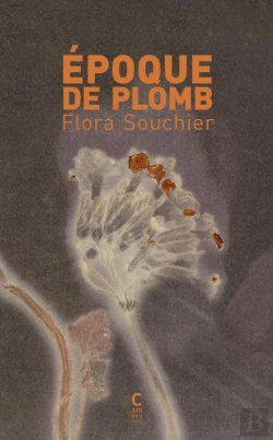 Bertrand.pt - Époque De Plomb