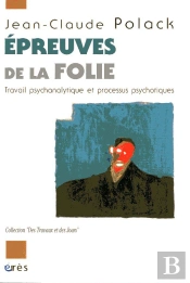 Epreuves De La Folie ; Travail Psychanalytique Et Processus Psychotiques