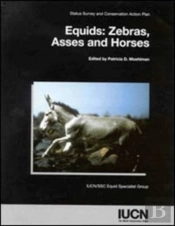 Equids