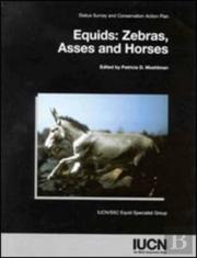 Equids