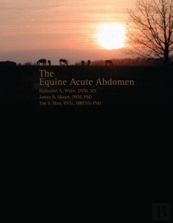 Bertrand.pt - Equine Acute Abdomen